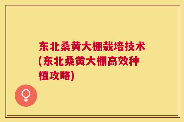 东北桑黄大棚栽培技术(东北桑黄大棚高效种植攻略)