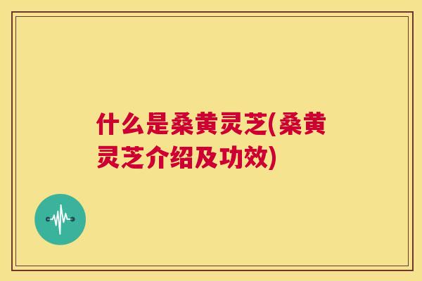 什么是桑黄灵芝(桑黄灵芝介绍及功效)