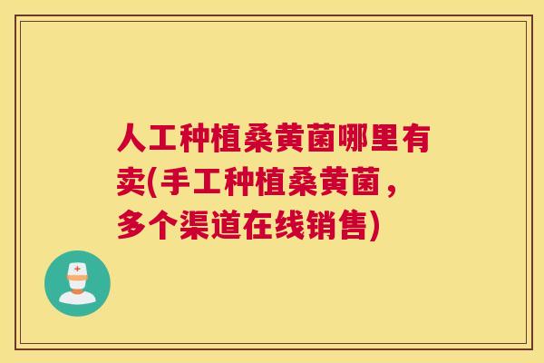 人工种植桑黄菌哪里有卖(手工种植桑黄菌，多个渠道在线销售)