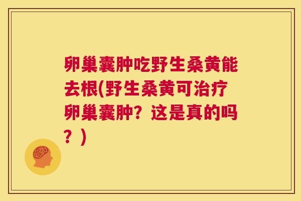 卵巢囊肿吃野生桑黄能去根(野生桑黄可卵巢囊肿？这是真的吗？)