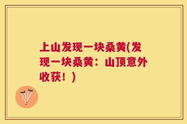 上山发现一块桑黄(发现一块桑黄：山顶意外收获！)