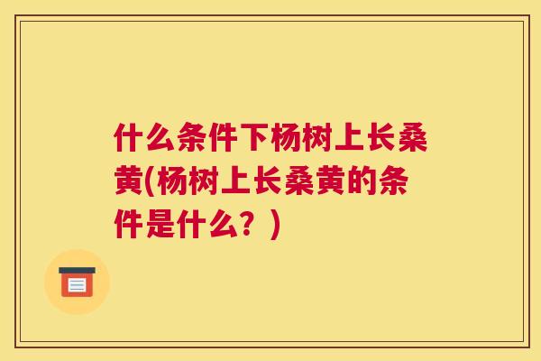 什么条件下杨树上长桑黄(杨树上长桑黄的条件是什么？)