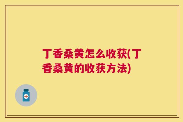 丁香桑黄怎么收获(丁香桑黄的收获方法)