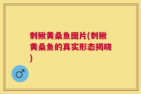 刺鳅黄桑鱼图片(刺鳅黄桑鱼的真实形态揭晓)