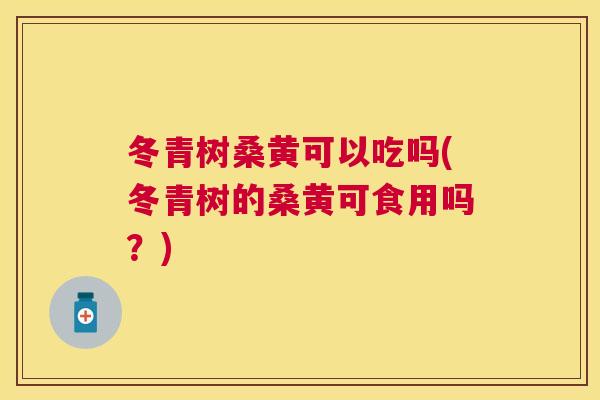 冬青树桑黄可以吃吗(冬青树的桑黄可食用吗？)