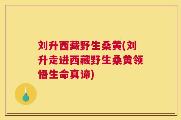 刘升西藏野生桑黄(刘升走进西藏野生桑黄领悟生命真谛)