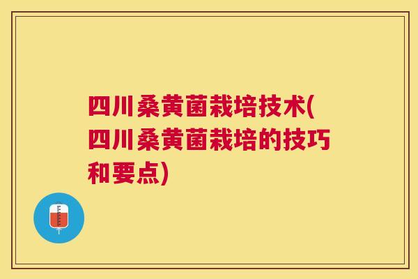 四川桑黄菌栽培技术(四川桑黄菌栽培的技巧和要点)