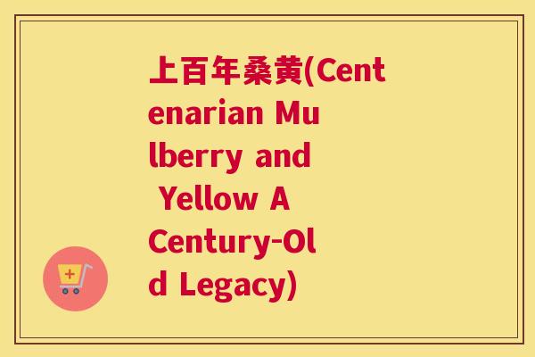 上百年桑黄(Centenarian Mulberry and Yellow A Century-Old Legacy)