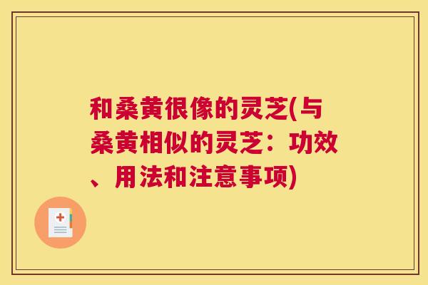 和桑黄很像的灵芝(与桑黄相似的灵芝：功效、用法和注意事项)