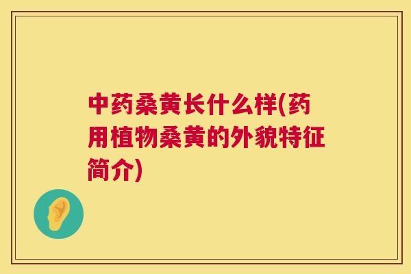 桑黄长什么样(药用植物桑黄的外貌特征简介)