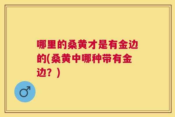 哪里的桑黄才是有金边的(桑黄中哪种带有金边？)