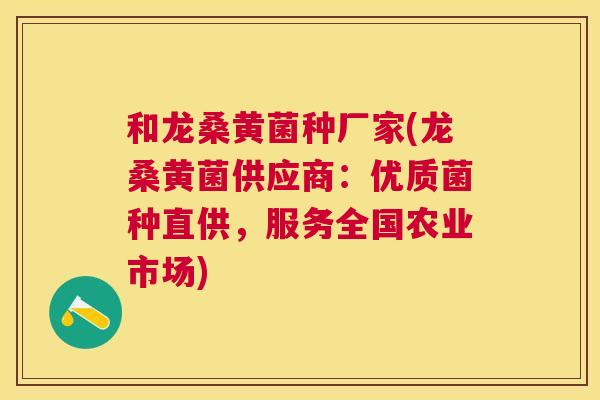 和龙桑黄菌种厂家(龙桑黄菌供应商：优质菌种直供，服务全国农业市场)