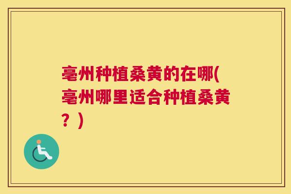亳州种植桑黄的在哪(亳州哪里适合种植桑黄？)