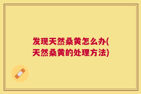 发现天然桑黄怎么办(天然桑黄的处理方法)