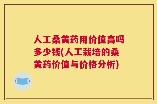 人工桑黄药用价值高吗多少钱(人工栽培的桑黄药价值与价格分析)