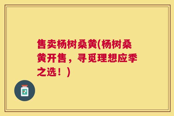 售卖杨树桑黄(杨树桑黄开售，寻觅理想应季之选！)