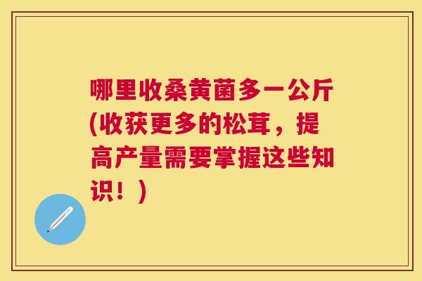 哪里收桑黄菌多一公斤(收获更多的松茸，提高产量需要掌握这些知识！)