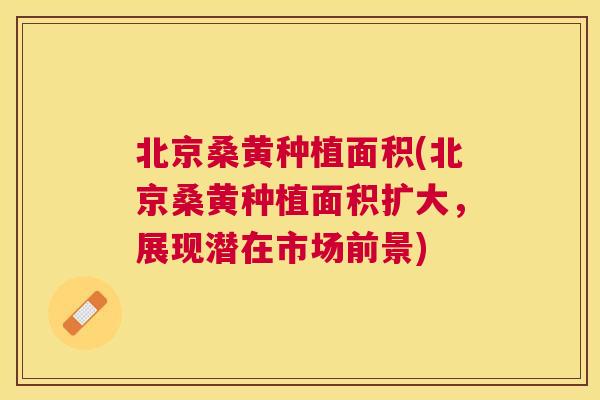 北京桑黄种植面积(北京桑黄种植面积扩大，展现潜在市场前景)