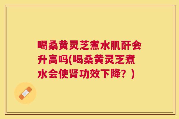 喝桑黄灵芝煮水肌酐会升高吗(喝桑黄灵芝煮水会使功效下降？)
