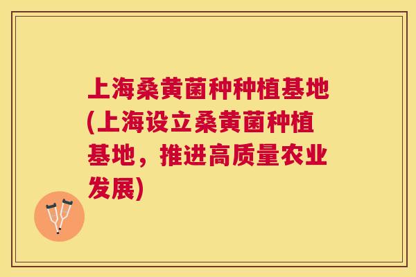 上海桑黄菌种种植基地(上海设立桑黄菌种植基地，推进高质量农业发展)