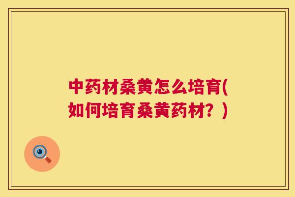 材桑黄怎么培育(如何培育桑黄药材？)