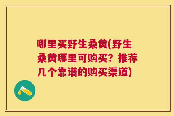 哪里买野生桑黄(野生桑黄哪里可购买？推荐几个靠谱的购买渠道)