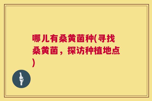 哪儿有桑黄菌种(寻找桑黄菌，探访种植地点)