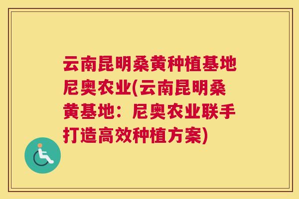 云南昆明桑黄种植基地尼奥农业(云南昆明桑黄基地：尼奥农业联手打造高效种植方案)
