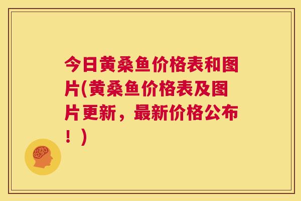 今日黄桑鱼价格表和图片(黄桑鱼价格表及图片更新，新价格公布！)