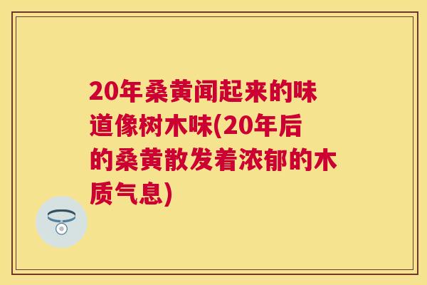 20年桑黄闻起来的味道像树木味(20年后的桑黄散发着浓郁的木质气息)