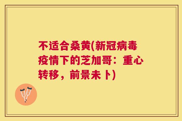 不适合桑黄(新冠疫情下的芝加哥：重心转移，前景未卜)