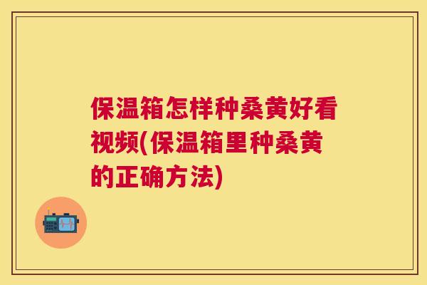保温箱怎样种桑黄好看视频(保温箱里种桑黄的正确方法)