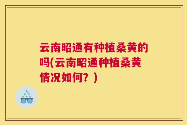 云南昭通有种植桑黄的吗(云南昭通种植桑黄情况如何？)