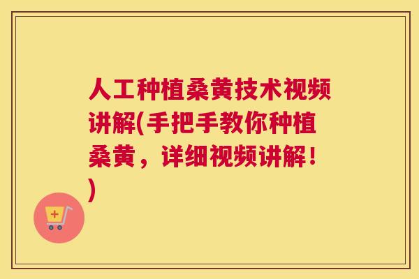 人工种植桑黄技术视频讲解(手把手教你种植桑黄，详细视频讲解！)