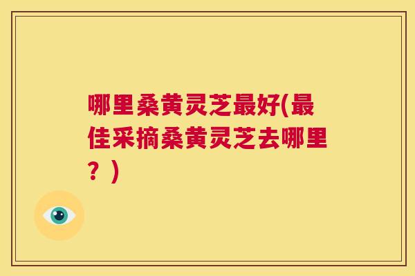 哪里桑黄灵芝好(佳采摘桑黄灵芝去哪里？)