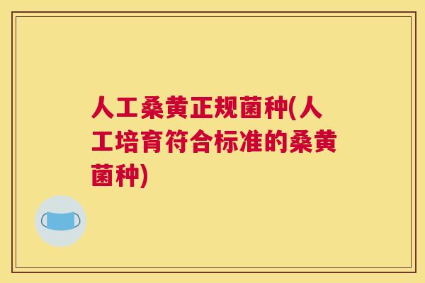 人工桑黄正规菌种(人工培育符合标准的桑黄菌种)