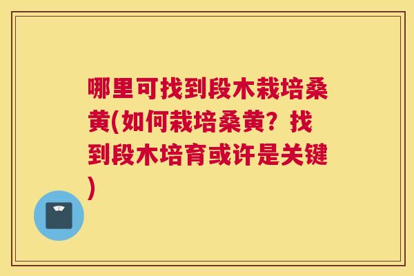 哪里可找到段木栽培桑黄(如何栽培桑黄？找到段木培育或许是关键)