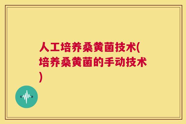 人工培养桑黄菌技术(培养桑黄菌的手动技术)