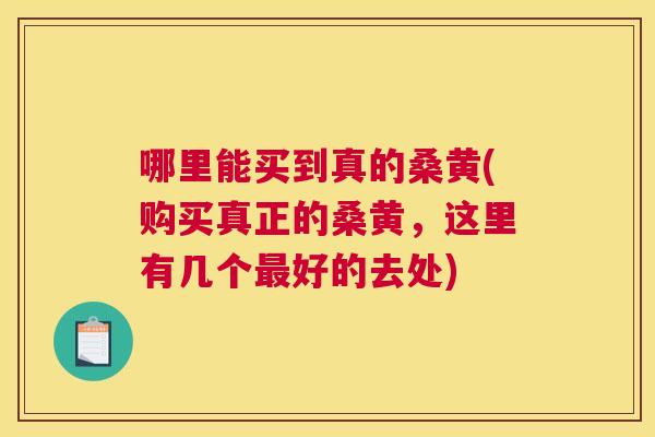 哪里能买到真的桑黄(购买真正的桑黄，这里有几个好的去处)
