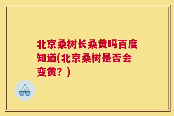 北京桑树长桑黄吗百度知道(北京桑树是否会变黄？)