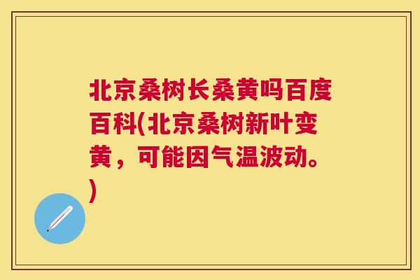 北京桑树长桑黄吗百度百科(北京桑树新叶变黄，可能因气温波动。)