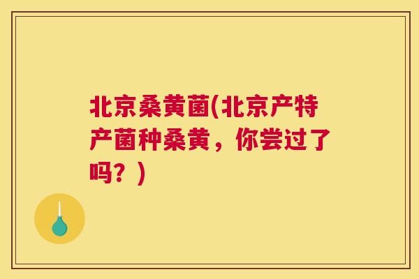 北京桑黄菌(北京产特产菌种桑黄，你尝过了吗？)