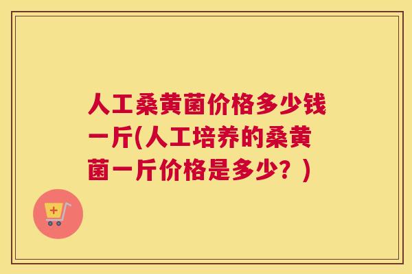 人工桑黄菌价格多少钱一斤(人工培养的桑黄菌一斤价格是多少？)