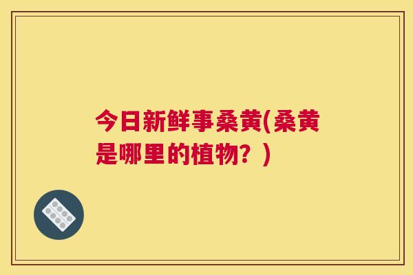 今日新鲜事桑黄(桑黄是哪里的植物？)