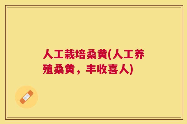 人工栽培桑黄(人工养殖桑黄，丰收喜人)