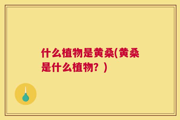 什么植物是黄桑(黄桑是什么植物？)