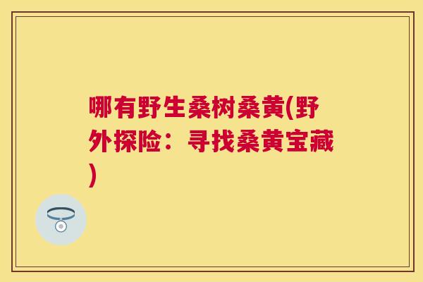 哪有野生桑树桑黄(野外探险：寻找桑黄宝藏)