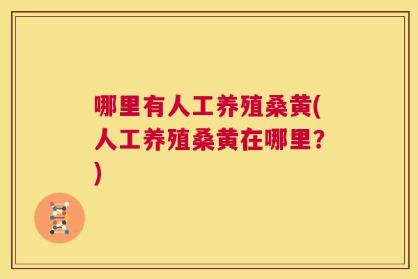 哪里有人工养殖桑黄(人工养殖桑黄在哪里？)
