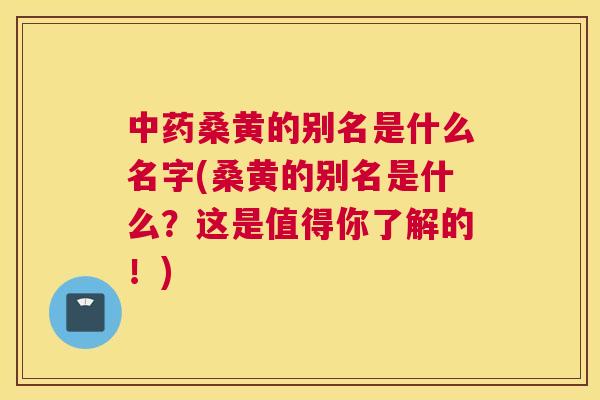 桑黄的别名是什么名字(桑黄的别名是什么？这是值得你了解的！)