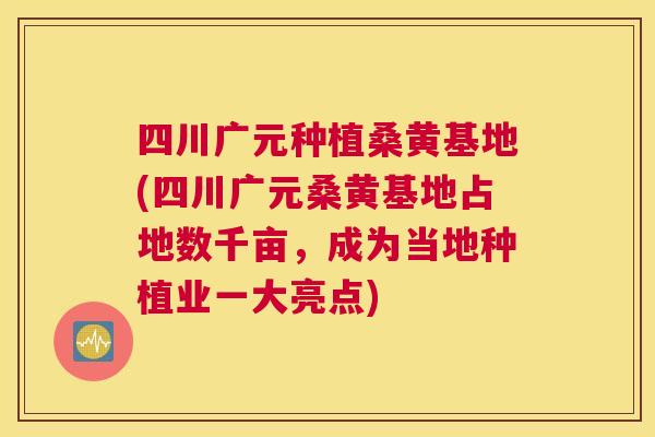 四川广元种植桑黄基地(四川广元桑黄基地占地数千亩，成为当地种植业一大亮点)